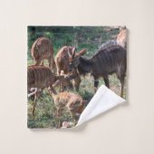 Nyala Antelope African Wildlife Photo (Gant de toilette)