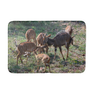 Nyala Antilope Natuurfotografie Badmat