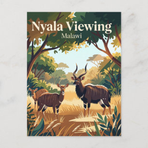 Nyala spotten, Lengwe National Park Malawi Briefkaart