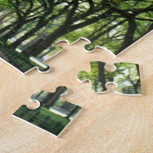 NYC Central Park Tree Tunnel Legpuzzel (Zijkant)