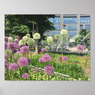 NYC Columbus Circle New York City Paars Allium Poster