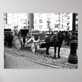 NYC Horse and Carriage Black White Photo Poster
