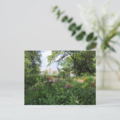 NYC Riverside Park Hudson River New York Carte pos (Debout devant)