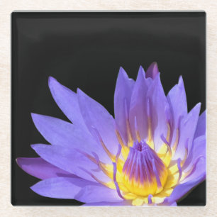 Nymphaea Glazen Onderzetter