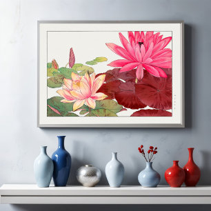 Nymphaea lotus, Bloem Poster