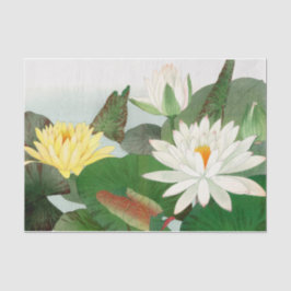 Nymphaea lotus , ontkoppeling tissuepapier