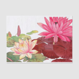 Nymphaea lotus, ontkoppeling tissuepapier
