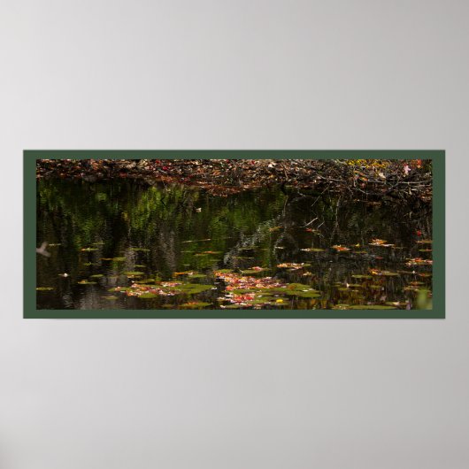 Nymphéas Affiche Photo (Devant)