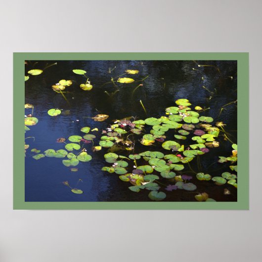 Nymphéas Affiche Photo (Devant)
