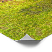 NZ Steam Train peinture moderne sur une affiche (Coin)