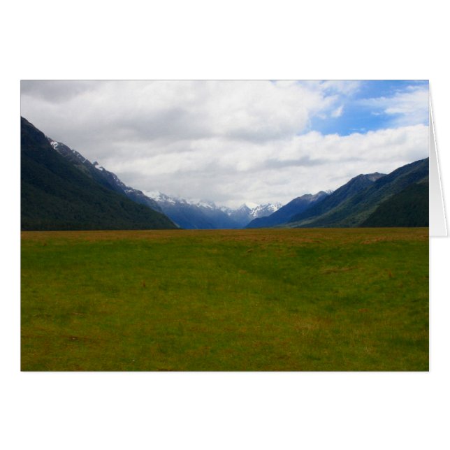 nz-veld (Voorkant Horizontaal)