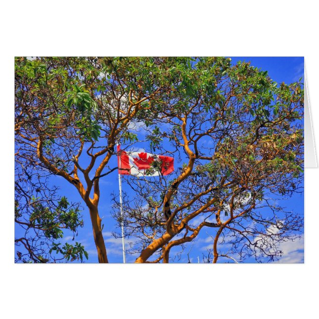 O Canada - Cartes (Devant horizontal)