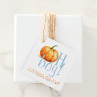 O Jongen Kleine Pompoen Blauwe Jongen Baby Shower Bedankjes Labels
