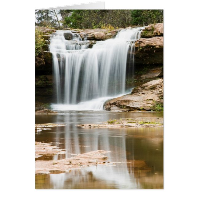 O Kun De Kun Herfsten (Voorkant)