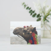 O man! Muscateldruif Briefkaart (Staand voorkant)