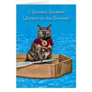 o Rij-miauw kat in een kartonnen boot Grappige Val