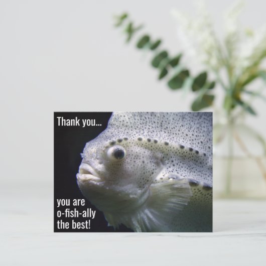 O-vis-bondgenoot het Beste Dank U Briefkaart (Staand voorkant)