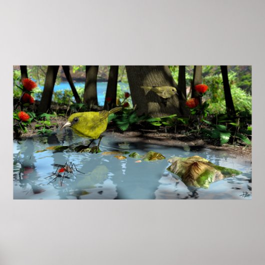 Oahu Amakihi Poster (Voorkant)