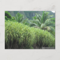 OAHU, HAWAII #2 BRIEFKAART