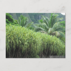 OAHU, HAWAII #2 BRIEFKAART
