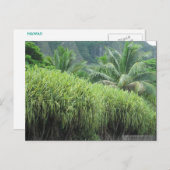 OAHU, HAWAII #2 CARTE POSTALE (Devant / Derrière)