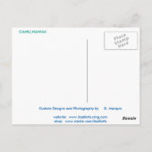 OAHU, HAWAII#4 CARTE POSTALE (Dos)