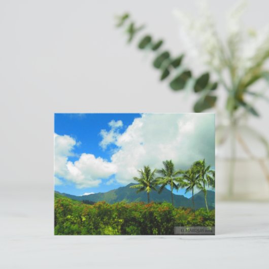 OAHU, HAWAII#6 CARTE POSTALE (Debout devant)