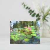 OAHU, HAWAII#8 CARTE POSTALE (Debout devant)