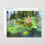 OAHU, HAWAII#8 CARTE POSTALE (Devant / Derrière)