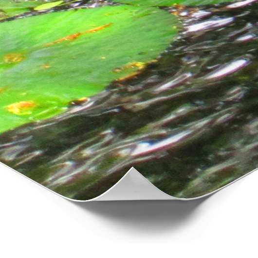 OAHU, HAWAII # 8 POSTER (Coin)