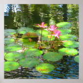 OAHU, HAWAII # 8 POSTER (Devant)