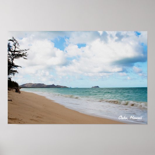 Oahu Hawaii Ocean Waves & Beach Poster (Voorkant)