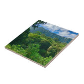 Oahu, regenwoud Hawaii Tegeltje (Zijkant)