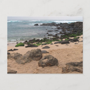 Oahu's Noordkust en Zeeschildpad Briefkaart
