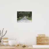 Oak Alley in Boone Hall, Charleston SC Poster (Keuken)