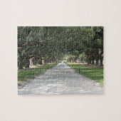 Oak Alley in Boone Hall, Charleston SC Puzzle Legpuzzel (Horizontaal)