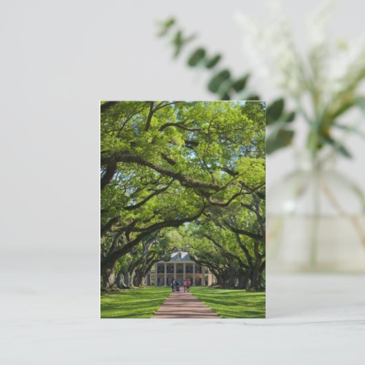 Oak Alley Plantation House Briefkaart (Staand voorkant)