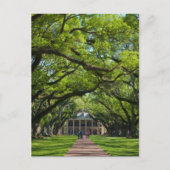 Oak Alley Plantation House Briefkaart (Voorkant)