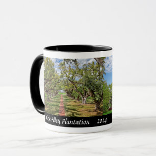 Oak Alley Plantation, Louisiana - Levend eikenbome Mok