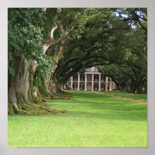 Oak Alley Plantation Poster (Voorkant)