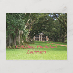 Oak Alley PlantationLouisiana Briefkaart