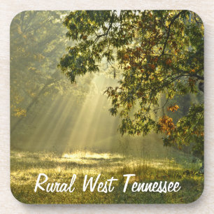 Oak-boom met zondensbloem bier onderzetter