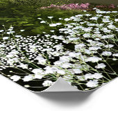 Oak-boom Poster voor bosbouw (Hoek)