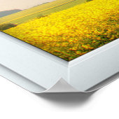 Oak Boom Wit 3 Ruitenlampje Poster (Hoek)