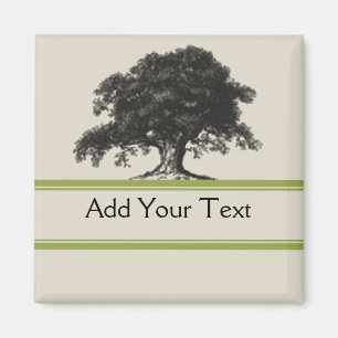 Oak-boomplant in groen magneet