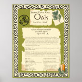 OAK CELTIC SACRED TREE POSTER (Voorkant)
