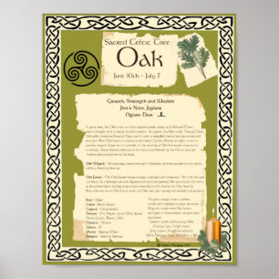 OAK CELTIC SACRED TREE POSTER