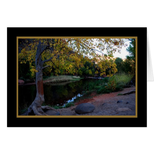 Oak Creek 246 (Devant horizontal)