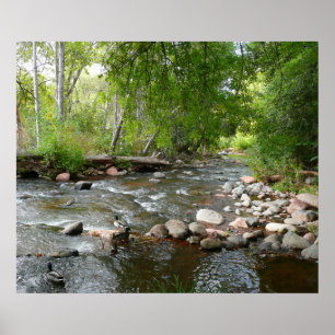 Oak Creek en Mallard Ducks Natuur Fotografie Poster