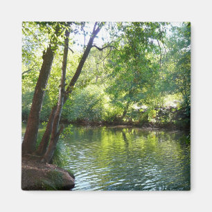 Oak Creek I in Sedona Arizona Natuurfotografie Magneet